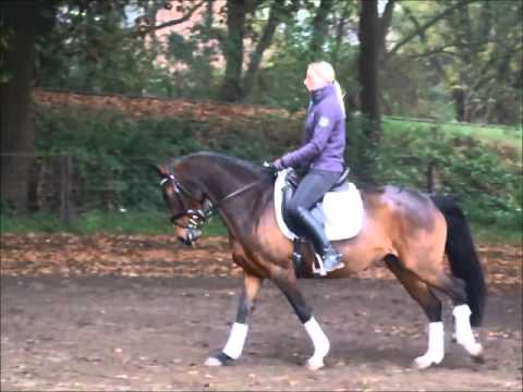 "DAHMA" 10j. DR v. Cansas - Black Boy - A- Dres. gew. VB 7.000,- Euro