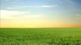 Between The Trees - Gentleman