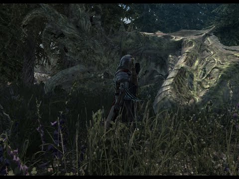 Crusader of Stendarr Warden Corvo vs The Ebony Warrior (Ebonarm?)