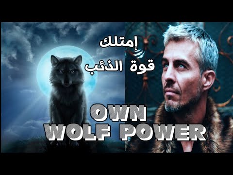 Be a wolf who always feels hungry Quotes for success فكر بعقلية الذئب عبارات للنجاح