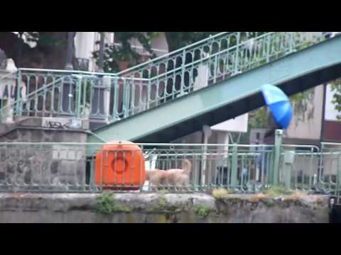 Akcent & Tristan Garner & Edward Maya   That's My Stereo Name Caribe Omar And Kamal Intro Bootleg