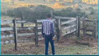 🙀NA ROÇA DO MEU IRMÃO CARLOS E DIRCENE DIA FOI MARAVILHOSO 