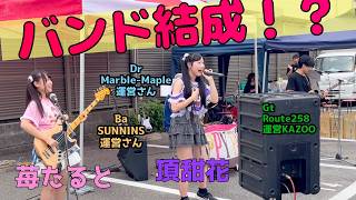 アイドルバンド結成！ぶっつけ本番の生演奏 |小さな恋のうた|チェリボム【アイドル運営さんによるおじさんバンド】