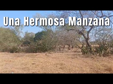 VENDIDA VENDIDA Una Manzana en venta Caserío El golfo, San Juan Nonualco. La Paz.