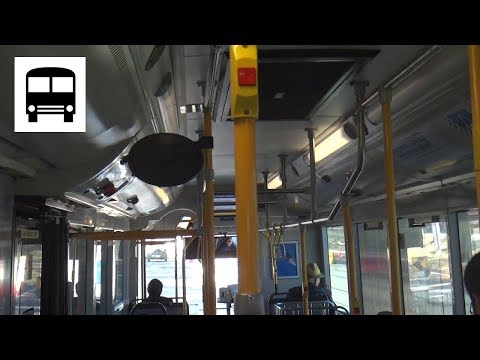 MAN 18.310 CNG (Voith) A69 - ACTION Buses Red Rapid 200 (Part One)