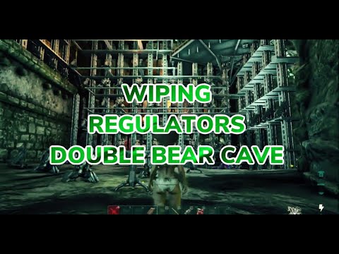 WIPING REGULATORS DOUBLE BEAR CAVE