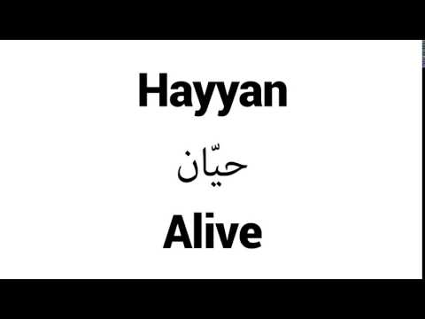 How to Pronounce Hayyan! - Middle Eastern Names