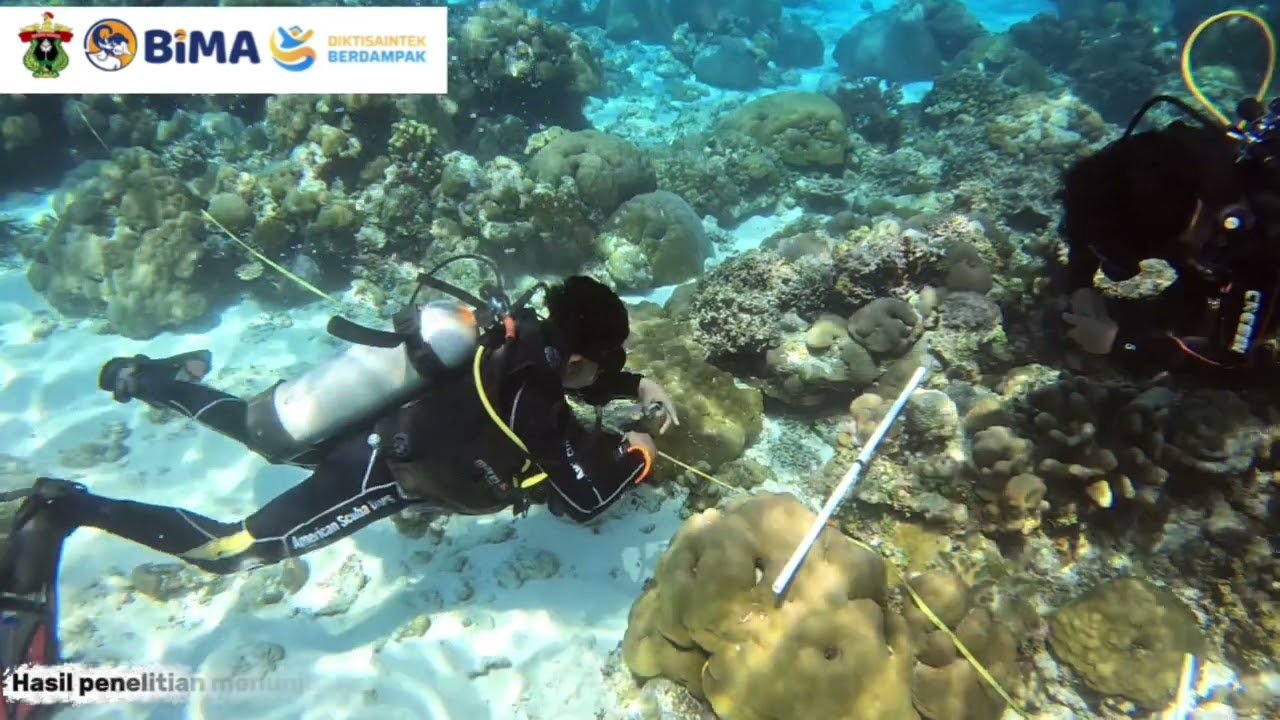 Hibah BIMA skema Penelitian Fundamental Reguler Tahun 2025