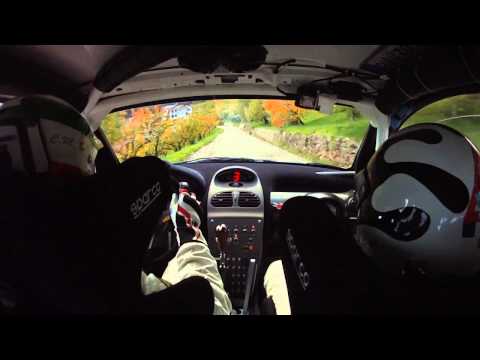 Camera car - Rally Due valli 2013 - Montanari M. Tamagnani M. - PS5 - 206 S1600