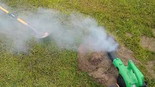 killing Gophers with a leaf blower.