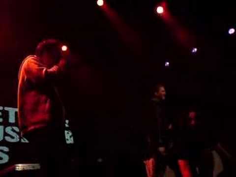 Het Wapen van Haarlem - Buitenwettig & Paratinus