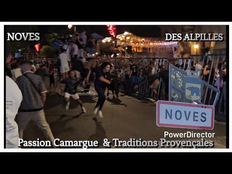 NOVES Encierro de Nuit Manade des Alpilles 29/08/2025
