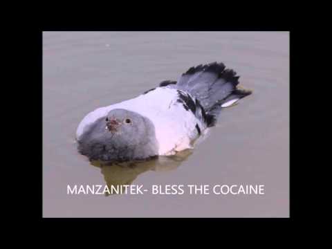 Manzanitek- Bless the cocaine