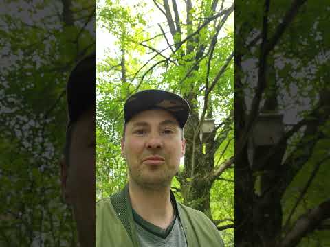 Роеловство. Юмор. Приколы. Что осталось за кадром.?Как ловить рои! #shorts #рои #Роеловство