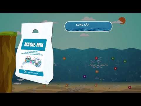 MAGIE MIX (CÁ)