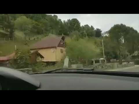 Pe drum... Muntele Băișorii