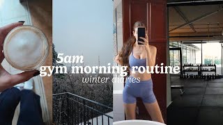 5AM *WINTER* MORNING ROUTINE | healthy & productive habits | winter diaries ep. 1