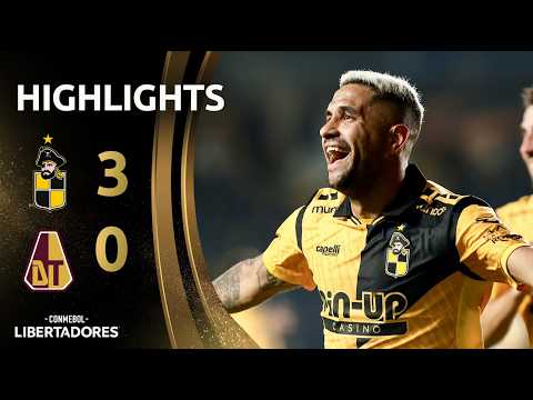 bg-highlight