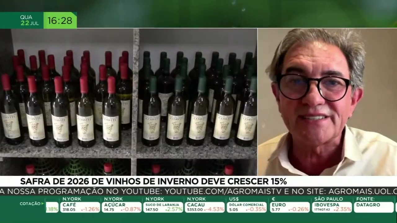 Safra de 2026 de vinhos de inverno deve crescer 15%