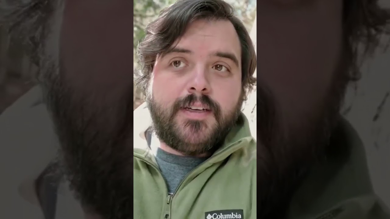 Is the Nikon D700 is still a viable option in 2025! #nikond700  #camerareview  #photographytips