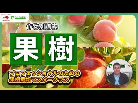 果樹に最適なマルチは何ですか?土壌に栄養を与え、豊かな収穫をもたらすための6つの最良のオプションは次のとおりです  庭園