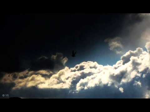 ATB vs. Breakage - Remember that day vs. Vial (VS™)