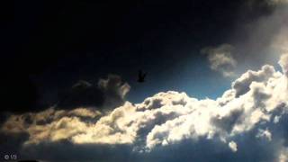 ATB vs. Breakage - Remember that day vs. Vial (VS™)