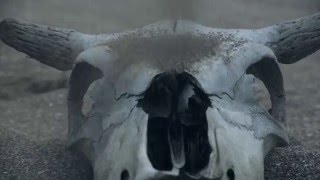 Meltdown - Oxymoron (Official Music Video)