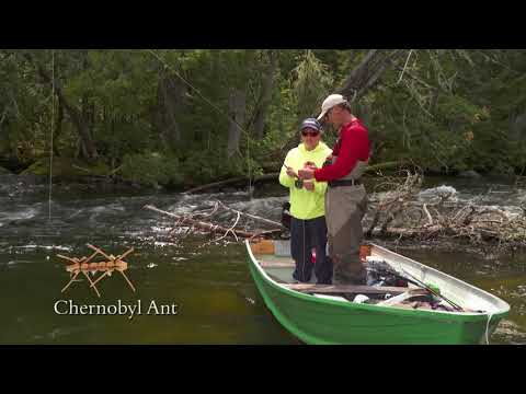 Brook Trout & Pike - Esnagami Wilderness Lodge