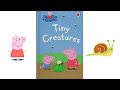 PEPPA PIG Tiny Creature READ ALOUD Story Book For Children