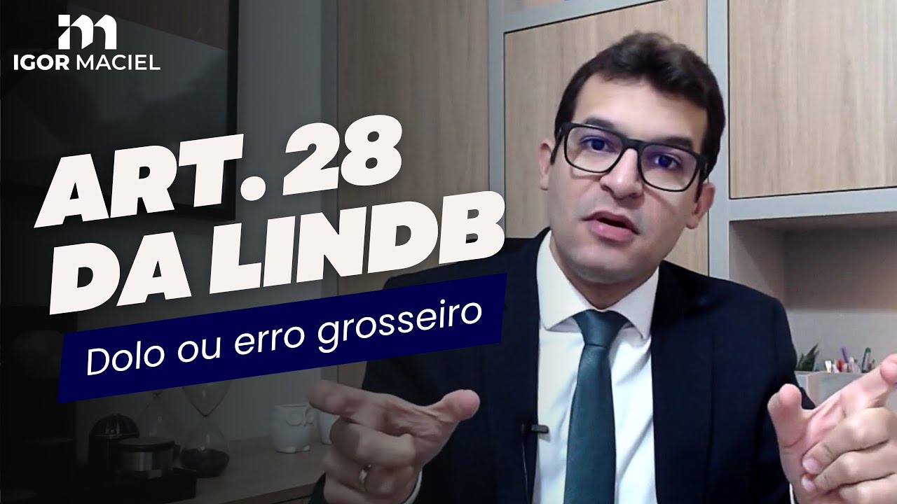 Art. 28 da LINDB - Dolo ou erro grosseiro