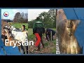KIJK OP FRYSLÂN: Geitenstop Fryslân, geld voor elzen en nieuwe mestuitvinding