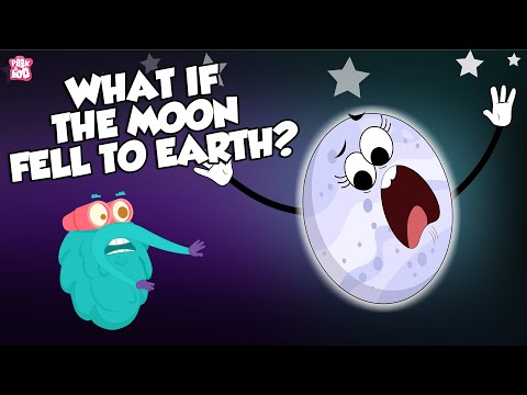 What If The Moon Fell To Earth? | Moon Video For Kids | The Dr Binocs Show | Peekaboo Kidz