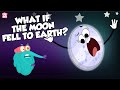 What If The Moon Fell To Earth Moon Video For Kids The Dr Binocs Show Peekaboo Kidz