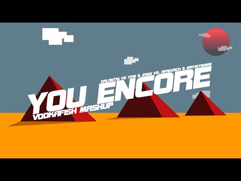 Galantis vs Tom & Jame vs. Afrojack & SAYMYNAME - You Encore (VODKAFISH Mashup)