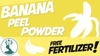 Never Throw Away Banana Peels Again – Make This Powerful Fertilizer