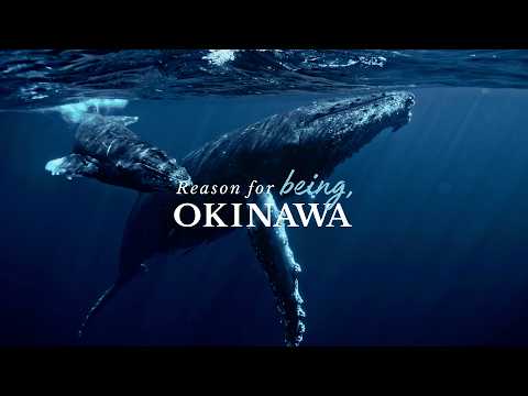 [Long ver] Reason for being, OKINAWA -Okinawan winter-｜Be.Okinawa 2025