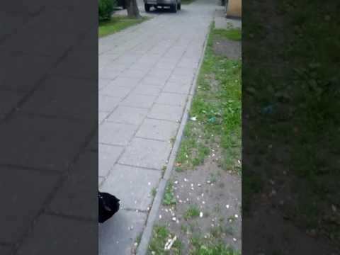 Reto ft deemz najwyrazniej