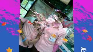Download lagu the potter's kpan lagi mp3