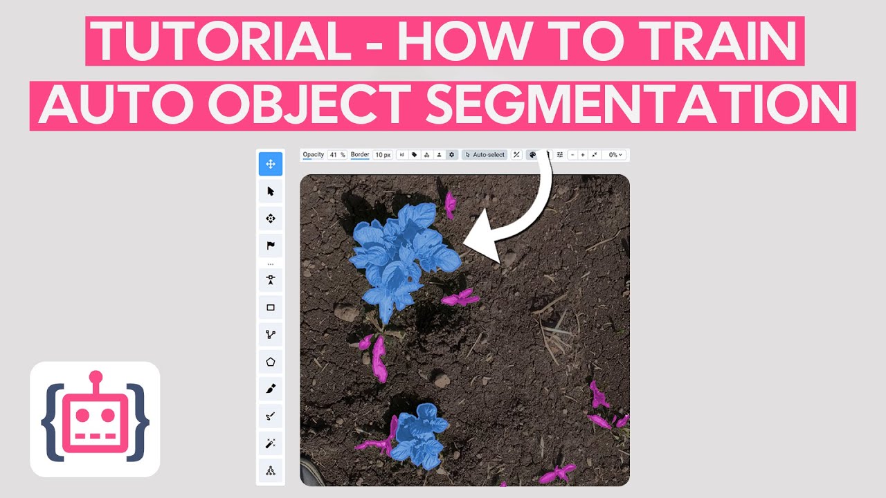 How to Train Custom Model for AI-assisted Instance Segmentation