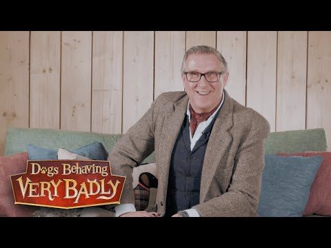 Cómo ayudar a tu perro a bajar de peso | Consejos clave | Perros con muy mal comportamiento