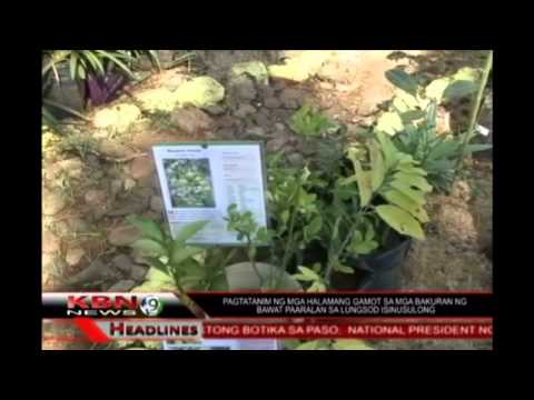 Download video komplikadong ehersisyo para sa pagbaba ng timbang na lalaki Kung ikaw ay may 3 araw upang mawalan ng timbang