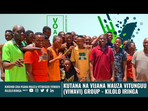 , title : '#VIJANA WAUZA VITUNGUU (VIWAVI) GROUP - KILOLO | KIKUNDI KILICHOANZISHWA KWA NGUVU ZA VIJANA WENYEWE'