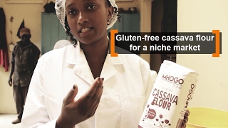 Kenya: Gluten free cassava flour for a niche market