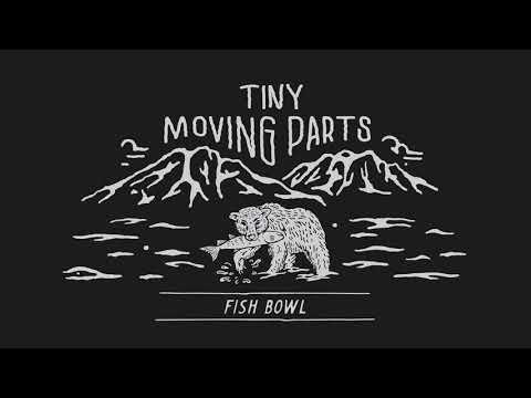 Video thumbnail for Fish Bowl