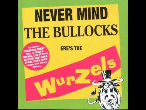 The Wurzels - Tupthumping