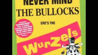 The Wurzels - Tupthumping