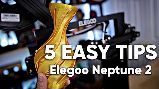5 Tips for 3D Printing with the Elegoo Neptune 2