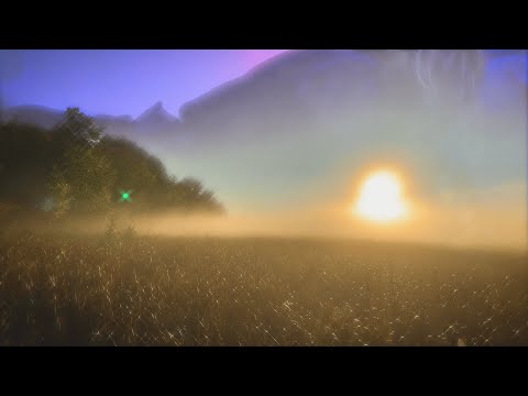 DEMYTRA - Popcorn Ceilings (Official Video)