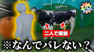 【モジレン】ガチで天才的な隠れ方の連続で爆笑が止まらない色塗りかくれんぼが面白すぎたwww【めっちゃカメレオン】